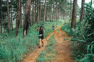 BIB: 
                            <button type="button" onclick="openModal(25679900)" class="btn btn-primary btn-sm float-right btn-popup" data-toggle="modal" data-target=".modal-high-quality">
                        <i class="fas fa-shopping-cart"></i> Add to Cart
                    </button>
                                            <button type="button" onclick="isThisMe(25679900, true)" class="btn btn-success btn-sm float-right btn-popup btn-isme hidden" data-toggle="tooltip" data-placement="bottom" title="นี่คือรูปของคุณใช่ไหม คลิกที่นี่เพื่อเอาเข้าอัลบั้ม">
                        <i class="fas fa-plus"></i> Add to album
                    </button>
                    <button type="button" onclick="isThisMe(25679900, false)" class="btn btn-warning btn-sm float-right btn-popup btn-isnotme hidden">
                        <i class="fas fa-ban"></i> Remove from album
                    </button>